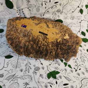 Fruit Tray Timber: Mallee Burl